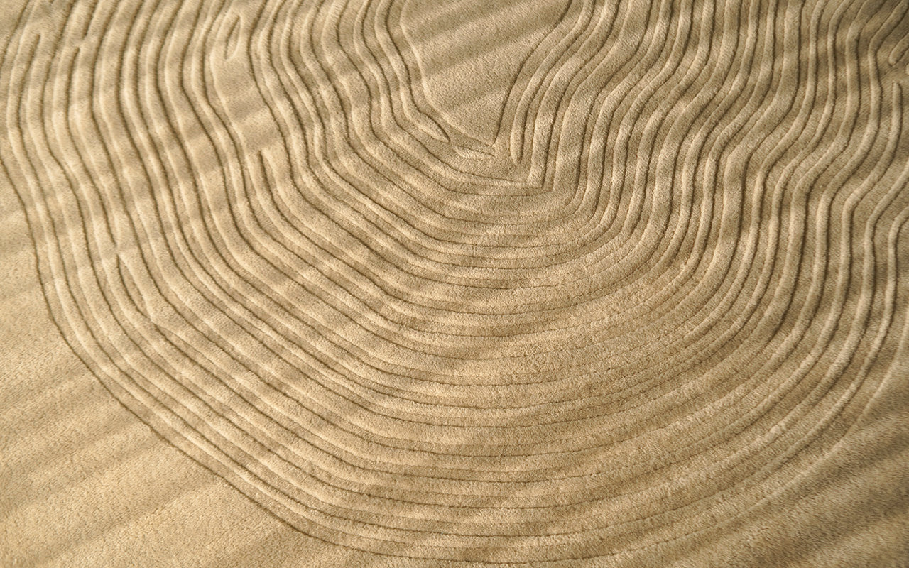 Sand & shore